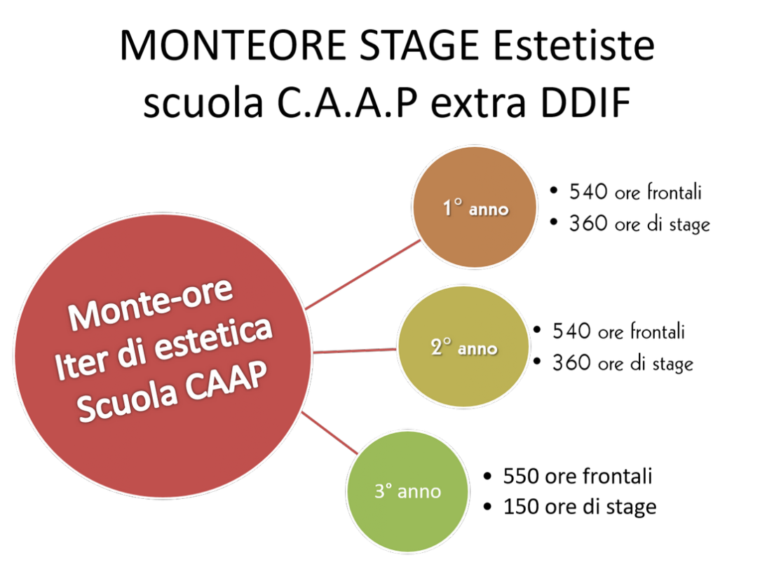 monteore stage estetiste caap