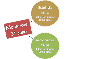 monteore 3° anno PARRUCCHIERE CAAP