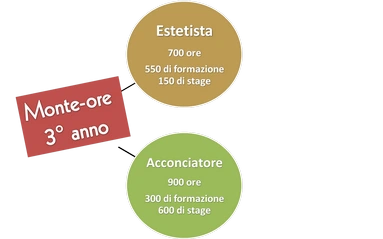 monteore estetica 3 anno caap